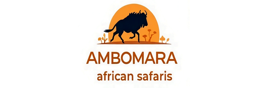 Best Budget Kenya Tanzania Safaris | AMBOMARA