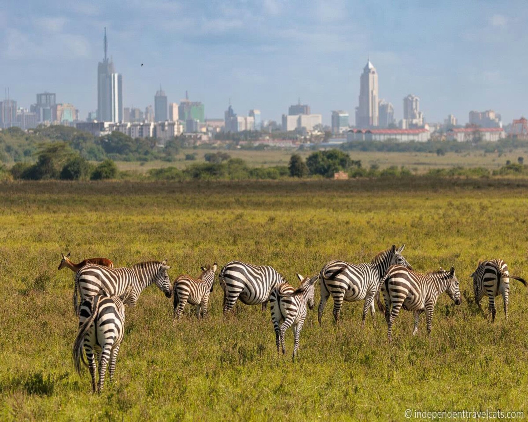 Nairobi Park