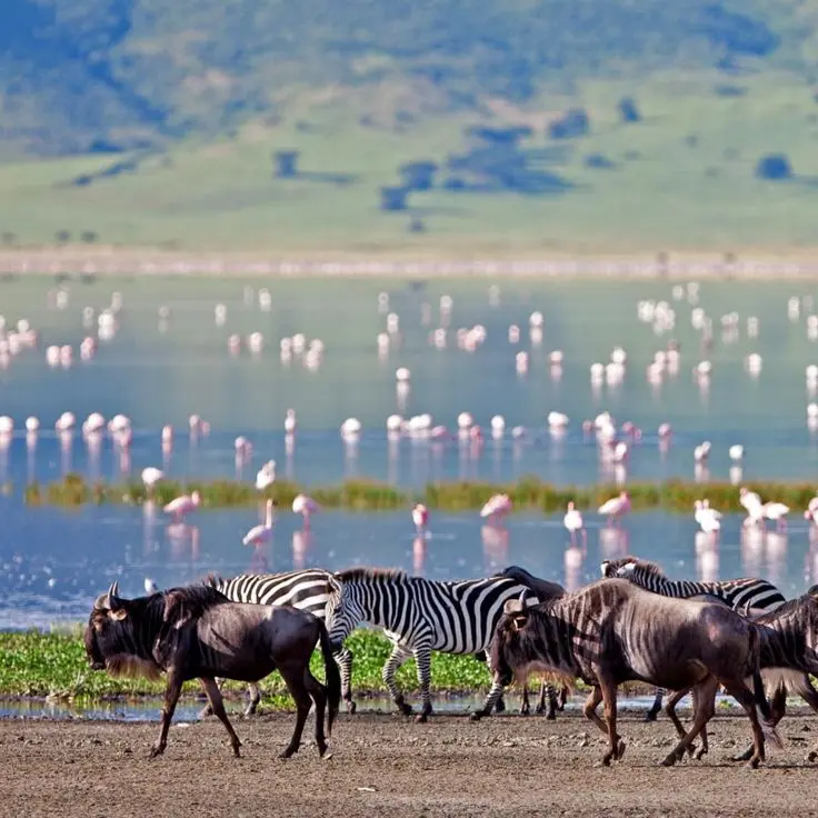 6 Days Tanzania Camping Safari – Authentic African Wilderness Adventure