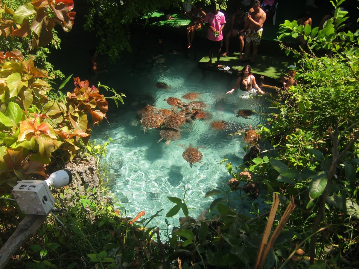 04 Days Zanzibar Beach Holiday & Island Adventure